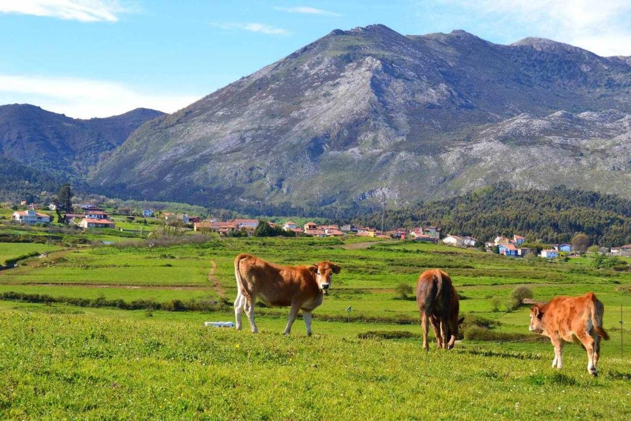 Апартаменти Rincon Con Piscina En Picos De Europa Кангас-де-Оніс Екстер'єр фото